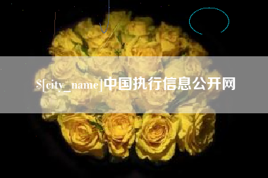 平湖中国执行信息公开网