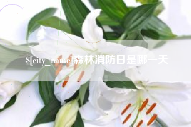 平湖森林消防日是哪一天