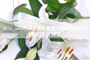 平湖中国消防救援学院2020年在山东招生计划表