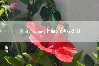 平湖上海消防员2021