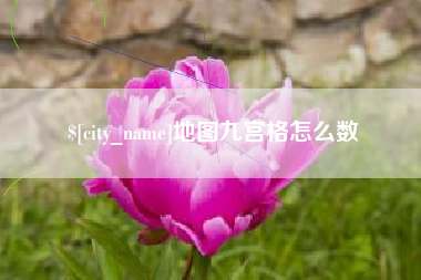 平湖地图九宫格怎么数