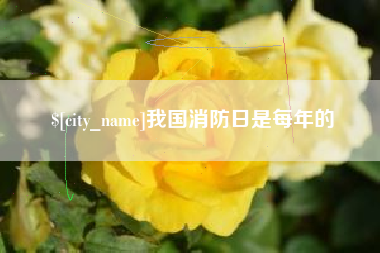 平湖我国消防日是每年的