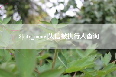 平湖失信被执行人杳询