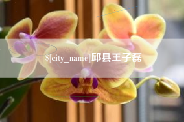 平湖邱县王子磊