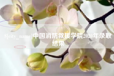 平湖中国消防救援学院2020年录取结果