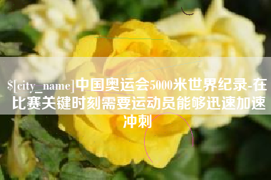 平湖中国奥运会5000米世界纪录-在比赛关键时刻需要运动员能够迅速加速冲刺