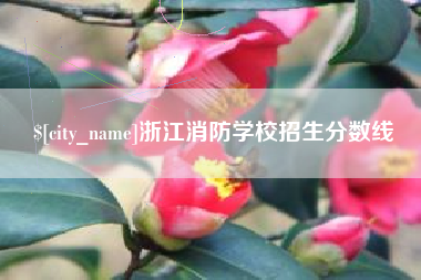 平湖浙江消防学校招生分数线