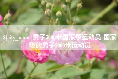 平湖男子5000米国家级运动员-国家级的男子5000米运动员
