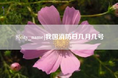 平湖我国消防日几月几号