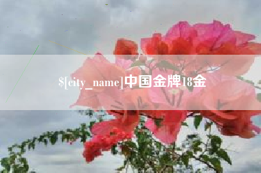 平湖中国金牌18金