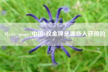 平湖中国6枚金牌是哪些人获得的