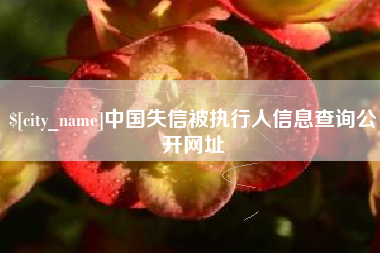 平湖中国失信被执行人信息查询公开网址