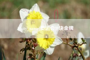 平湖奥运会39块金牌