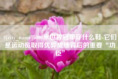 平湖5000米世界冠军穿什么鞋-它们是运动员取得优异成绩背后的重要“功臣”