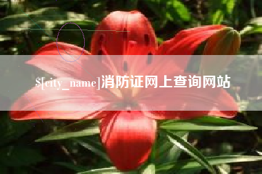 平湖消防证网上查询网站