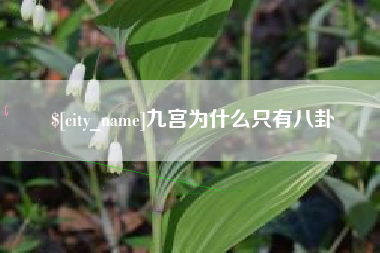 平湖九宫为什么只有八卦