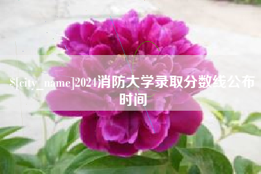 平湖2024消防大学录取分数线公布时间