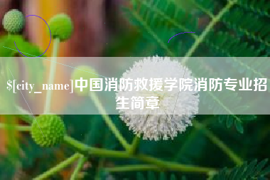 平湖中国消防救援学院消防专业招生简章