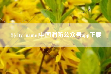 平湖中国消防公众号app下载