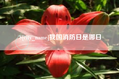 平湖我国消防日是哪日