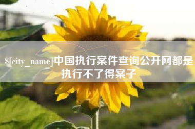 平湖中国执行案件查询公开网都是执行不了得案子