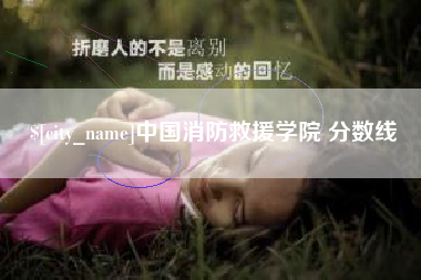 平湖中国消防救援学院 分数线