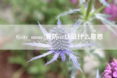 平湖消防ccc认证什么意思