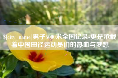 平湖男子5000米全国记录-更是承载着中国田径运动员们的热血与梦想