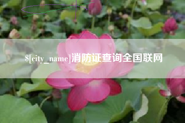 平湖消防证查询全国联网