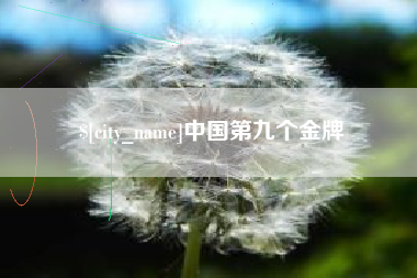 平湖中国第九个金牌