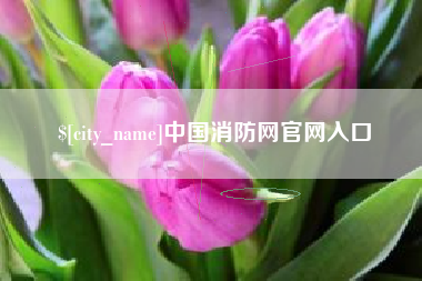 平湖中国消防网官网入口