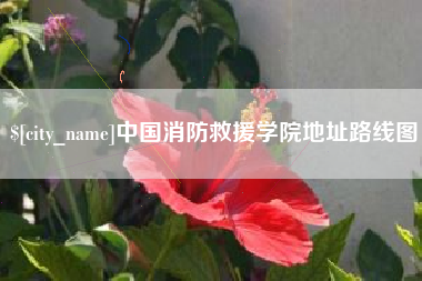 平湖中国消防救援学院地址路线图
