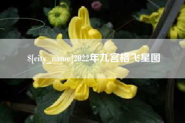平湖2022年九宫格飞星图