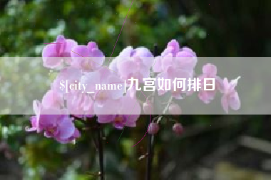 平湖九宫如何排日