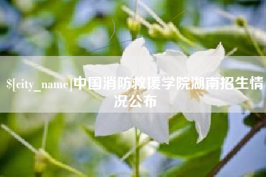 平湖中国消防救援学院湖南招生情况公布