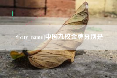 平湖中国九枚金牌分别是