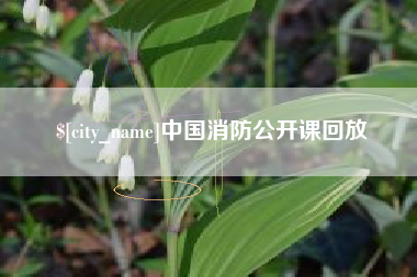 平湖中国消防公开课回放