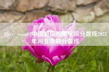 平湖中国消防救援学院分数线2023年河北录取分数线