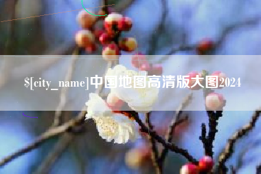 平湖中国地图高清版大图2024