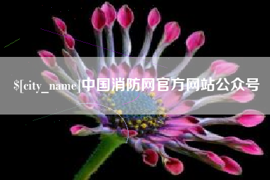 平湖中国消防网官方网站公众号