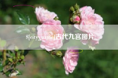 平湖古代九宫图片