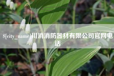 平湖川消消防器材有限公司官网电话
