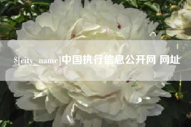 平湖中国执行信息公开网 网址