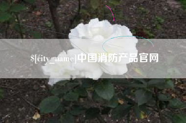 平湖中国消防产品官网