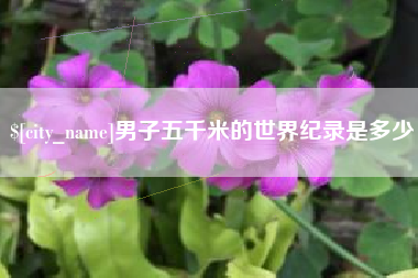 平湖男子五千米的世界纪录是多少
