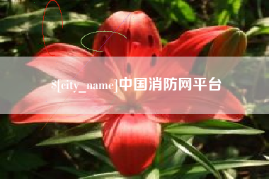 平湖中国消防网平台