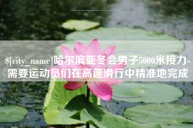 平湖哈尔滨亚冬会男子5000米接力-需要运动员们在高速滑行中精准地完成