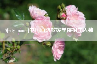 平湖中国消防救援学院招生人数