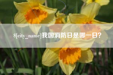 平湖我国消防日是哪一日？