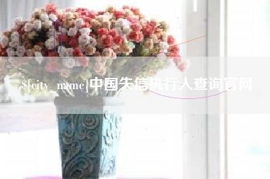 平湖中国失信执行人查询官网